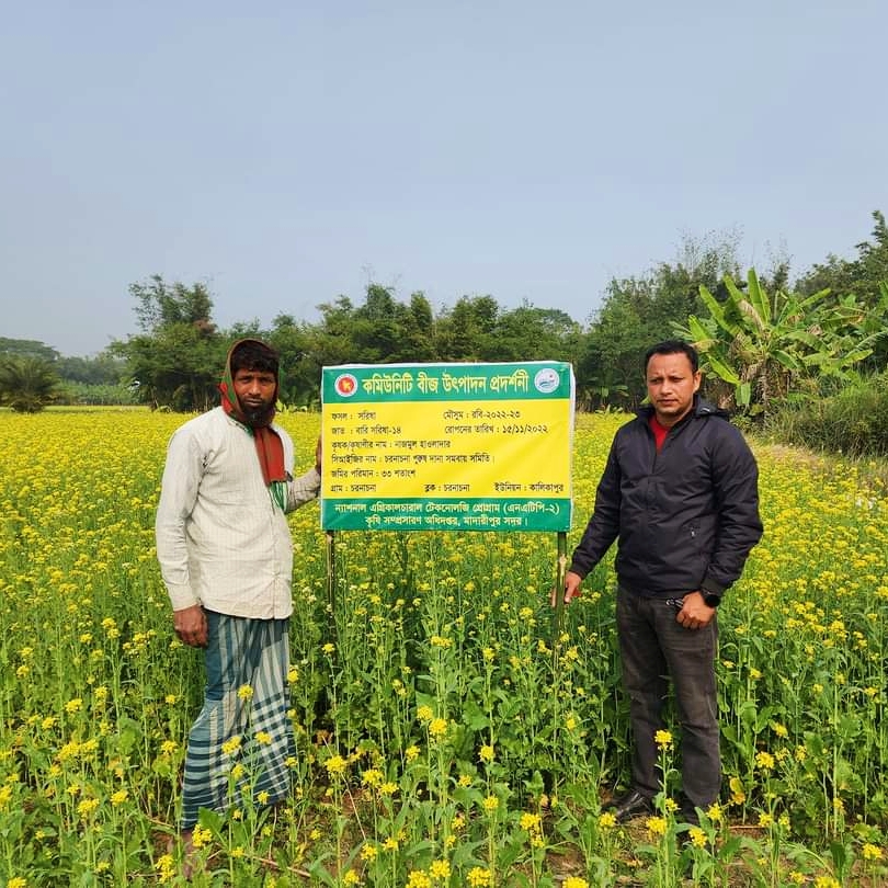 NATP-2 রবি/২২-২৩ সরিষা কমিউনিটি বীজ উৎপাদন