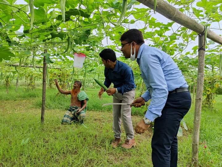 নিরাপদ ফসল উৎপাদন ক্ষেতে ইউএও এবং ইউএনও স্যার