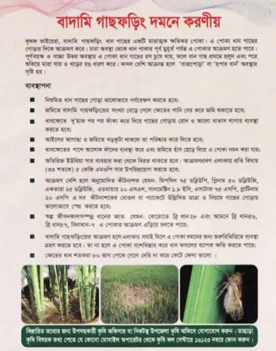 বিপিএইচ রোগের দমনিয়