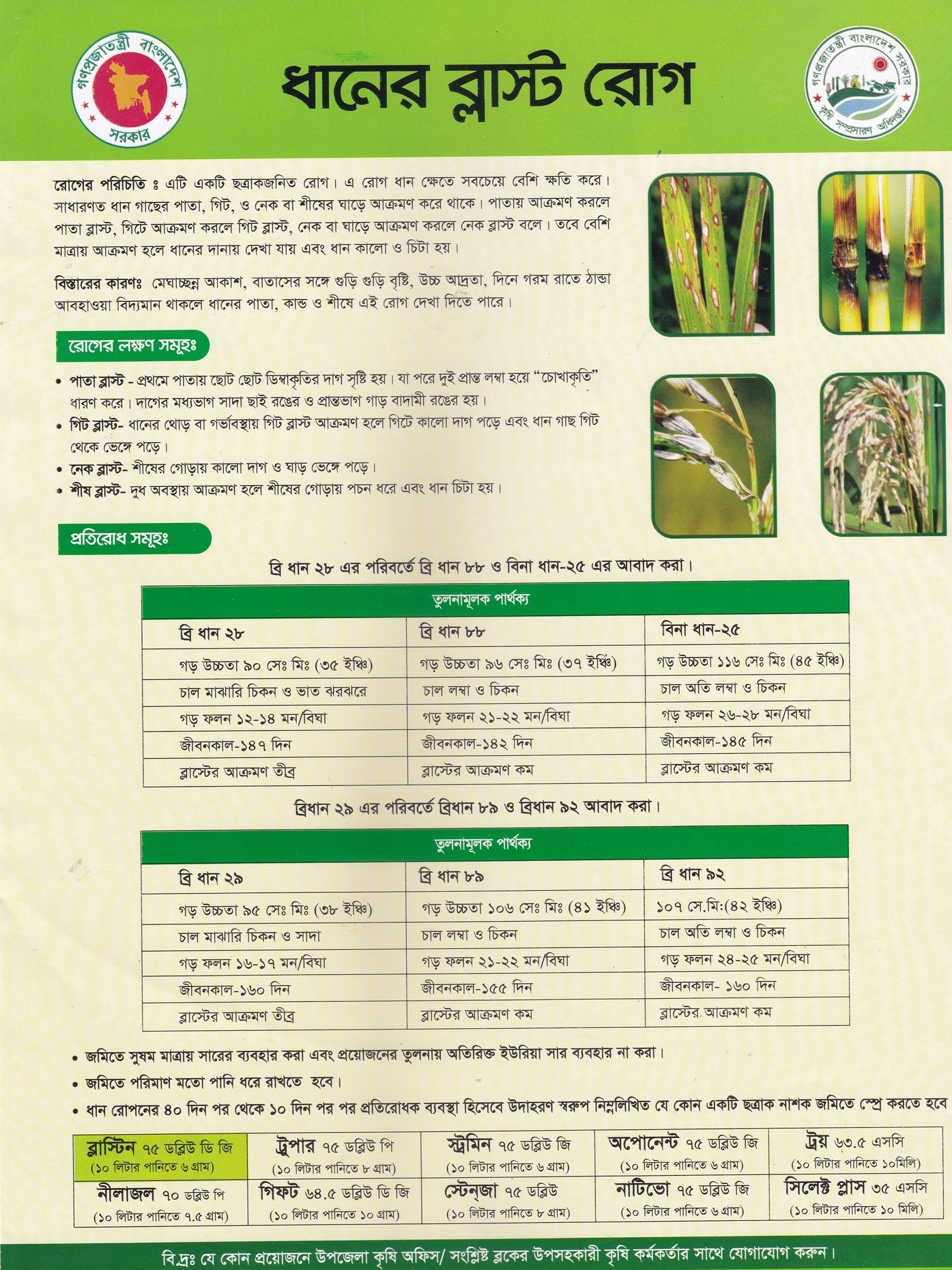 ব্লাস্ট বিপিএইচ রোগের দমনিয়