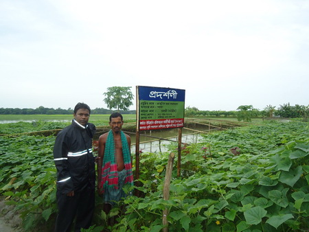 আইএপিপি প্রকল্পের প্রদর্শণী ফসল