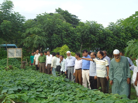 অতিরিক্ত সচিব, কৃষি মন্ত্রনালয় মহোদয় কর্তৃক আইএপিপি প্রকল্পের অগ্রগতি মূল্যায়ন