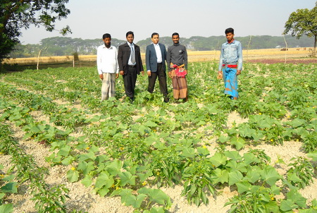কৃষকের মাঠ ফসল পরিদর্শন