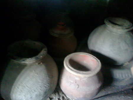 কৃষক পর্যায়ে ধান বীজ সংরক্ষণ