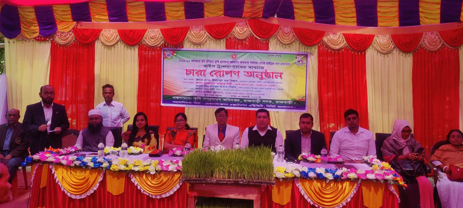 ধানের চারা রোপণ