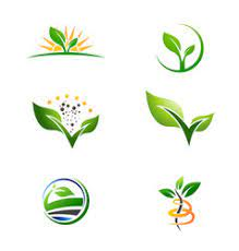 রাজবাড়ী সদর উপজেলার কৃষি বিষয়ক তথ্য