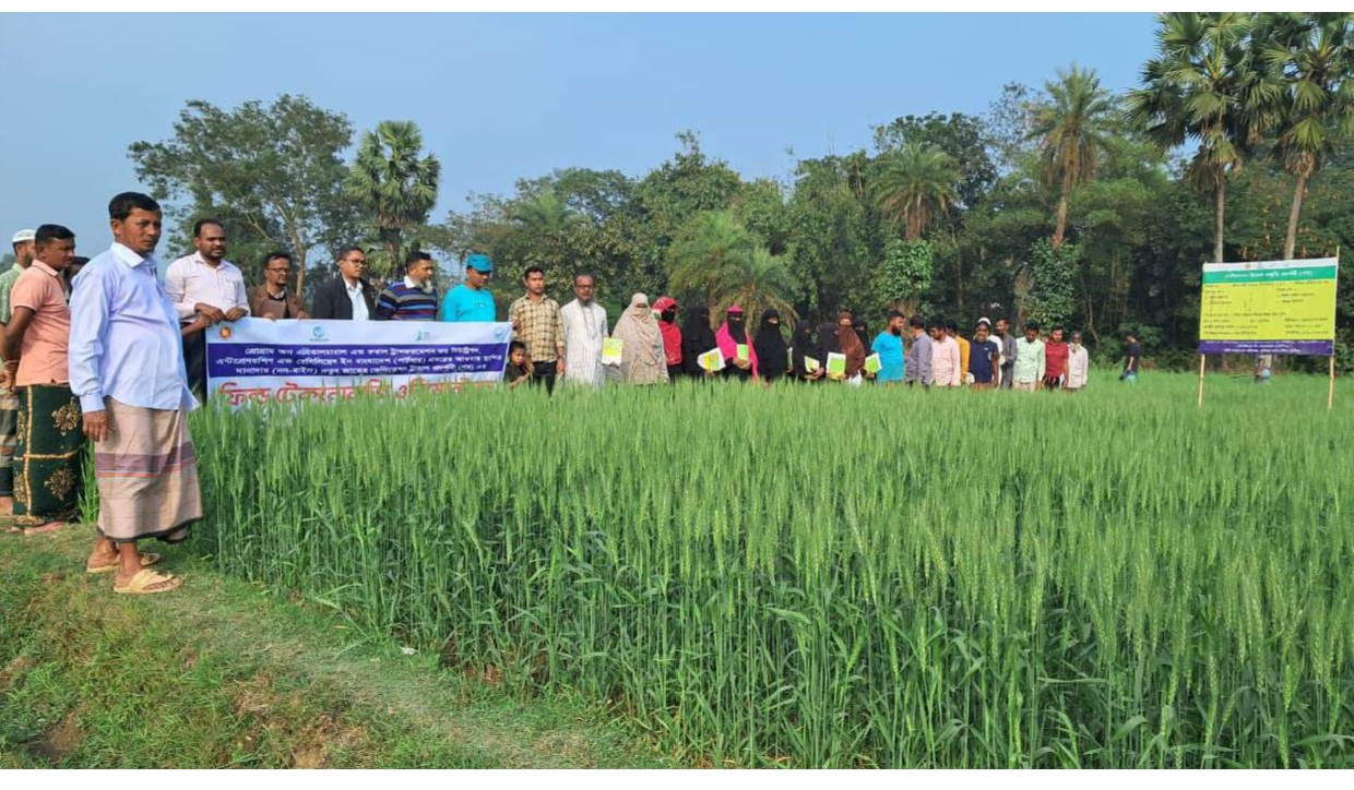 কৃষক/ কৃষাণী প্রশিক্ষণ