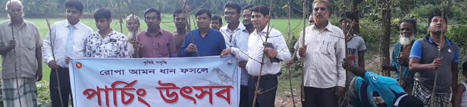 পারচিং