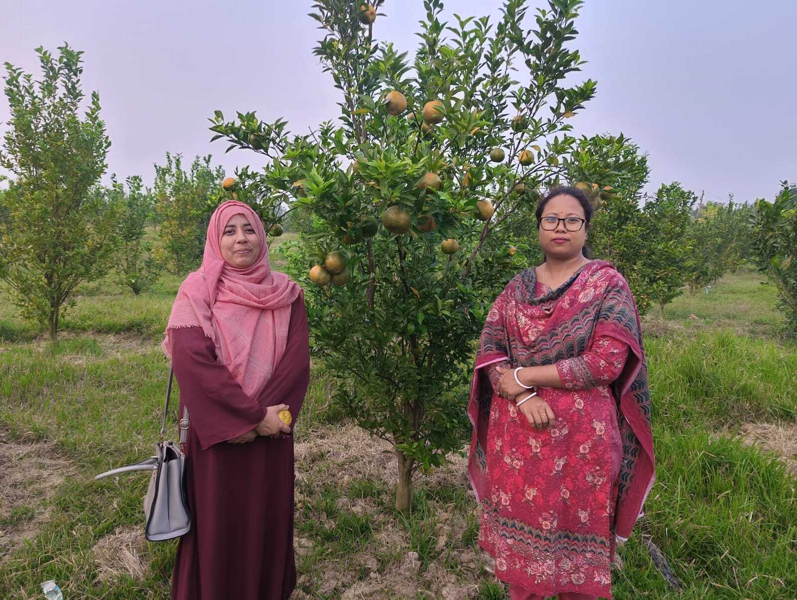 মাল্টা বাগান পরিদর্শন
