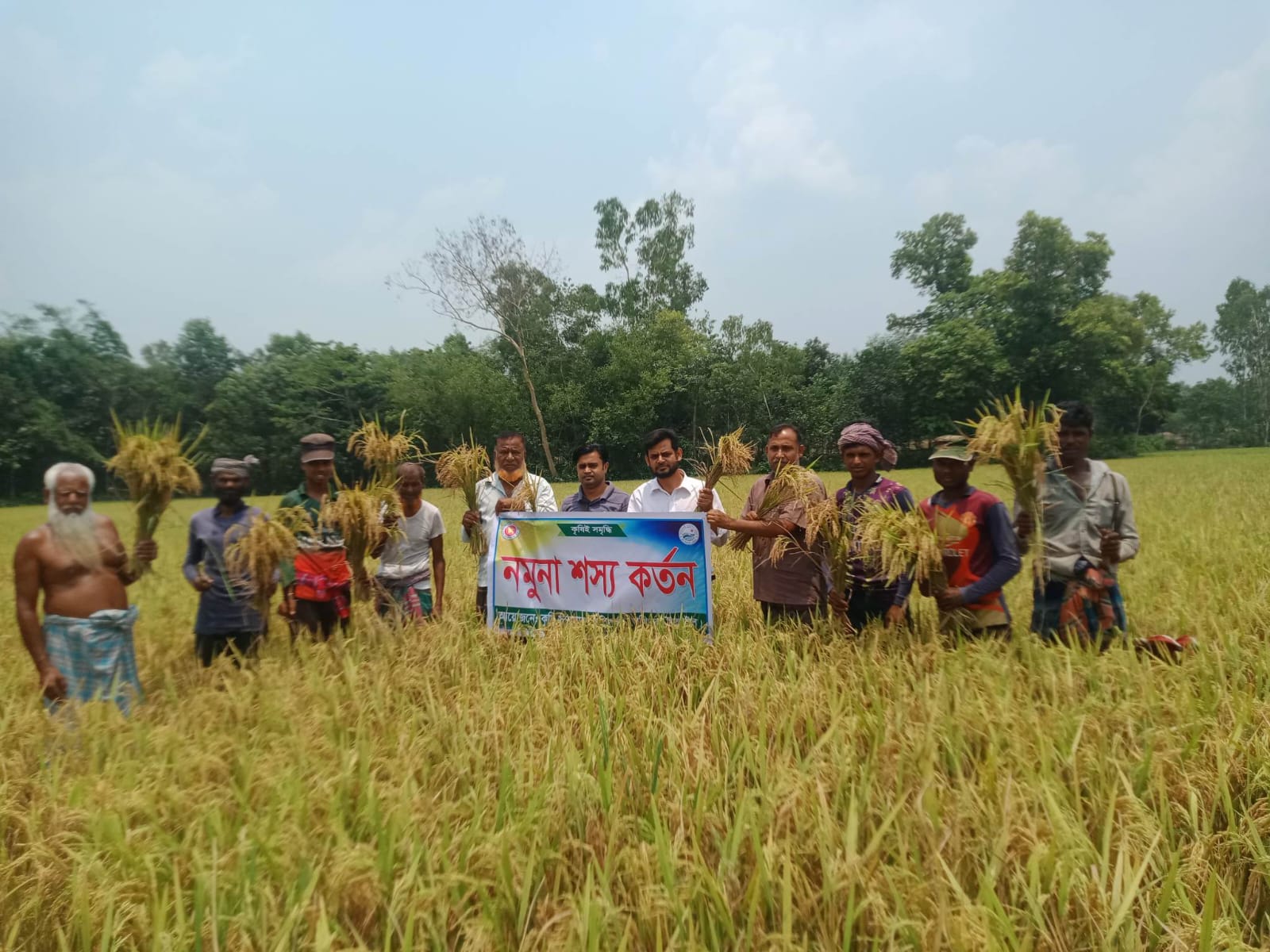 নমুনা শষ্য কর্তন