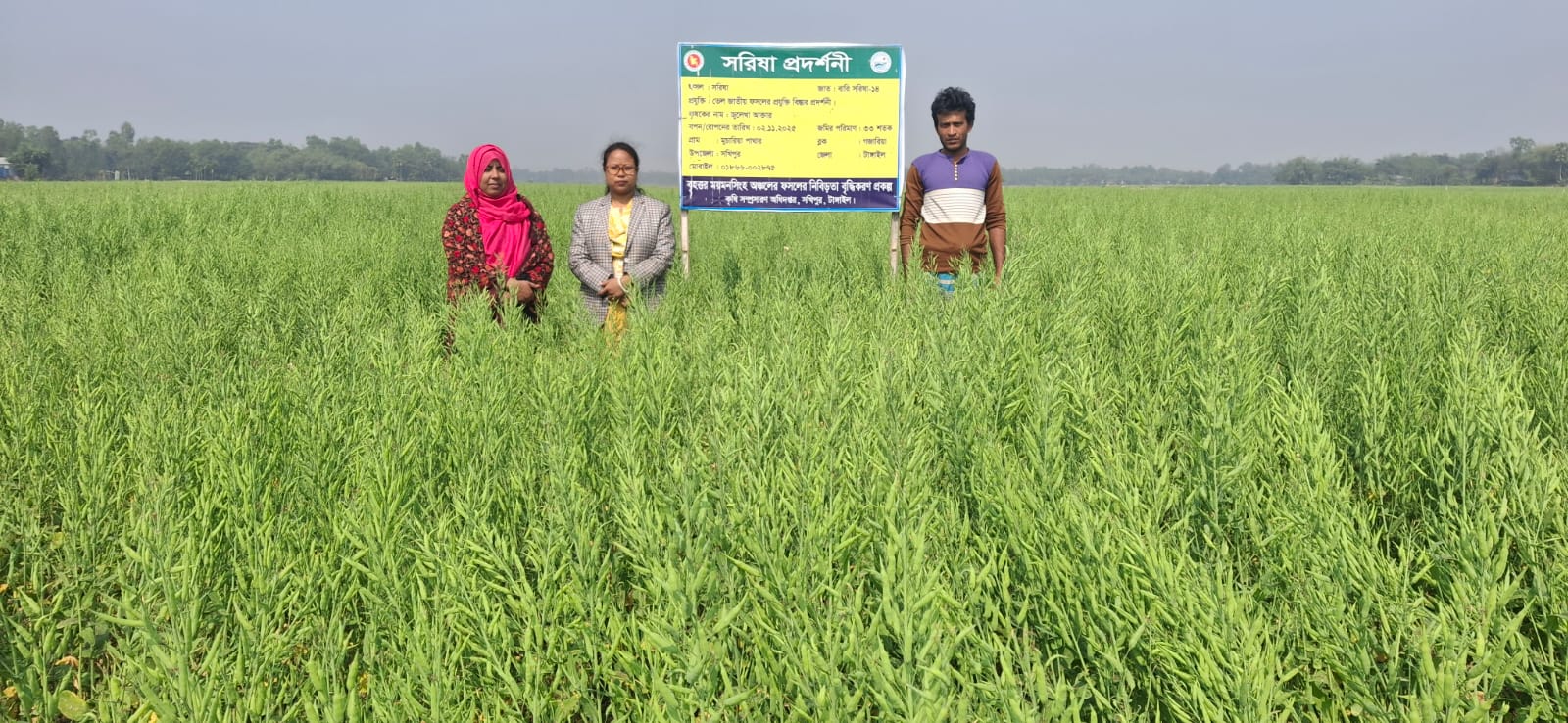 সরিষা প্রদর্শনী