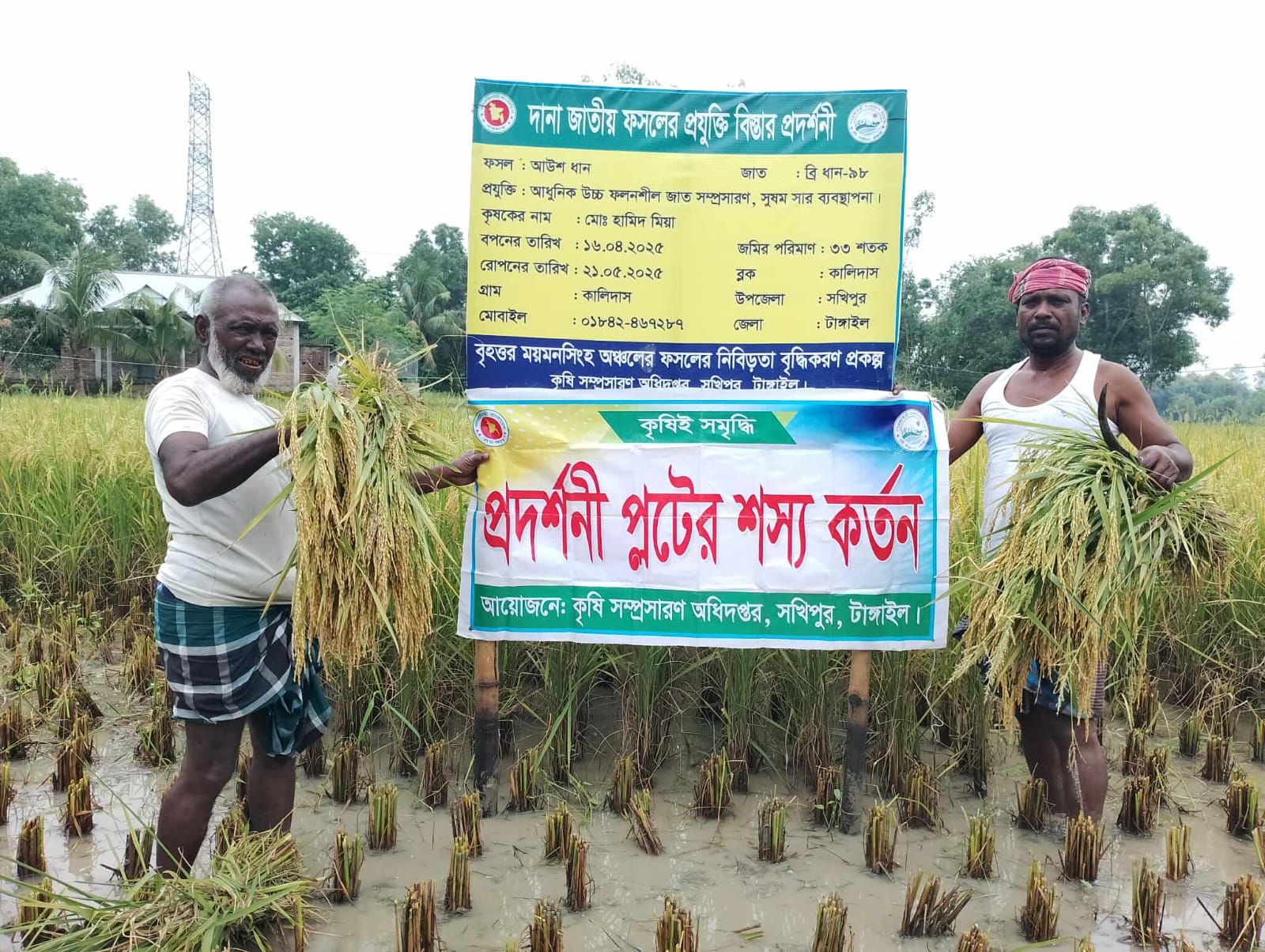 নমুনা শষ্য কর্তন