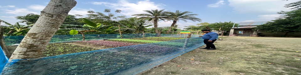 মাঠ পরিদর্শন কার্যক্রম -১