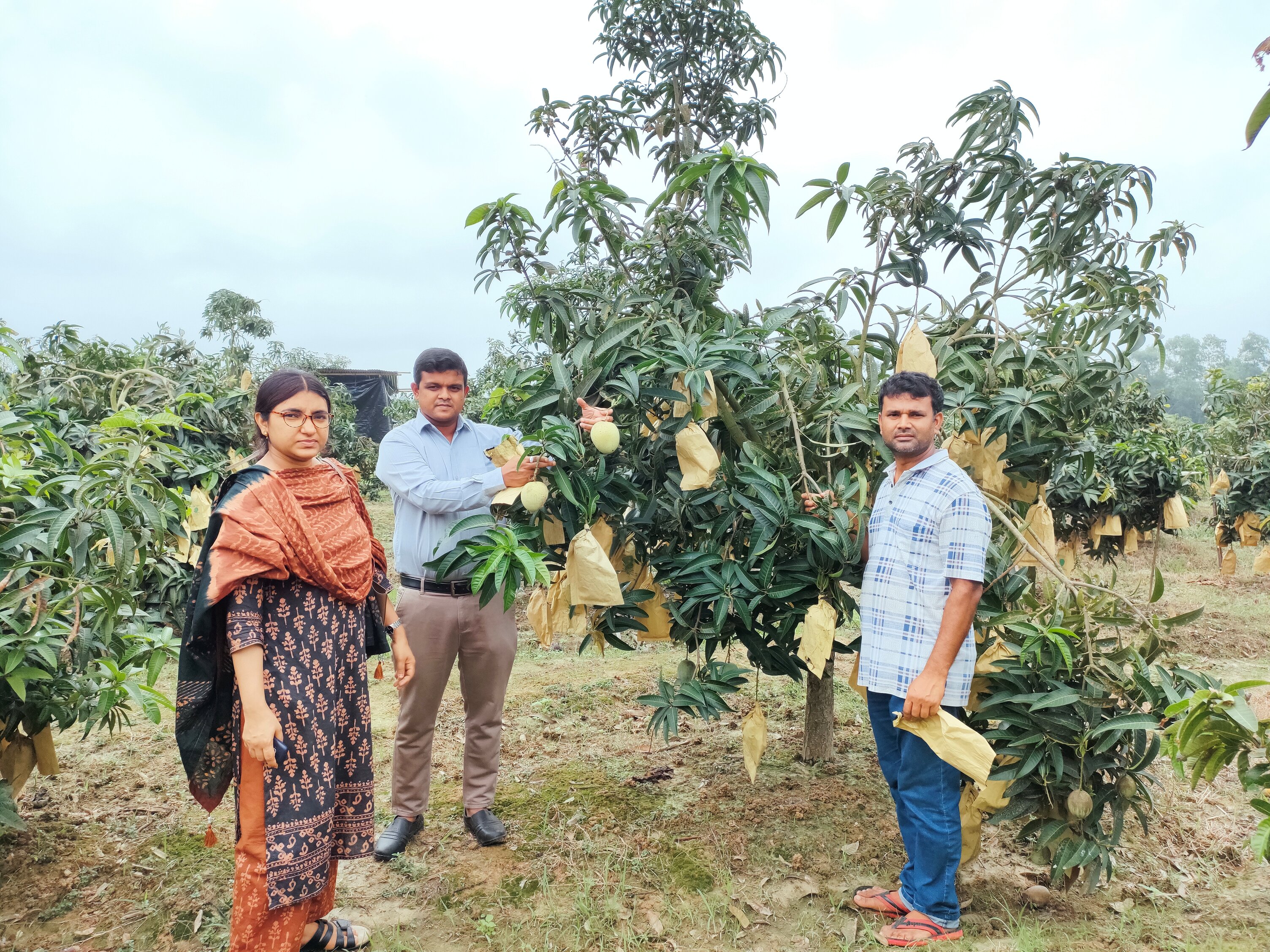 বরেন্দ্র এগ্রো পার্ক সাপাহার,