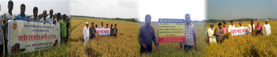 কম্বাই্ন হারভেষ্টার, নমুনা শস্য কর্তন, চাষী পর্যায়ে উন্নতমানের ধান বীজ উৎপাদন ই্ত্যাদি।