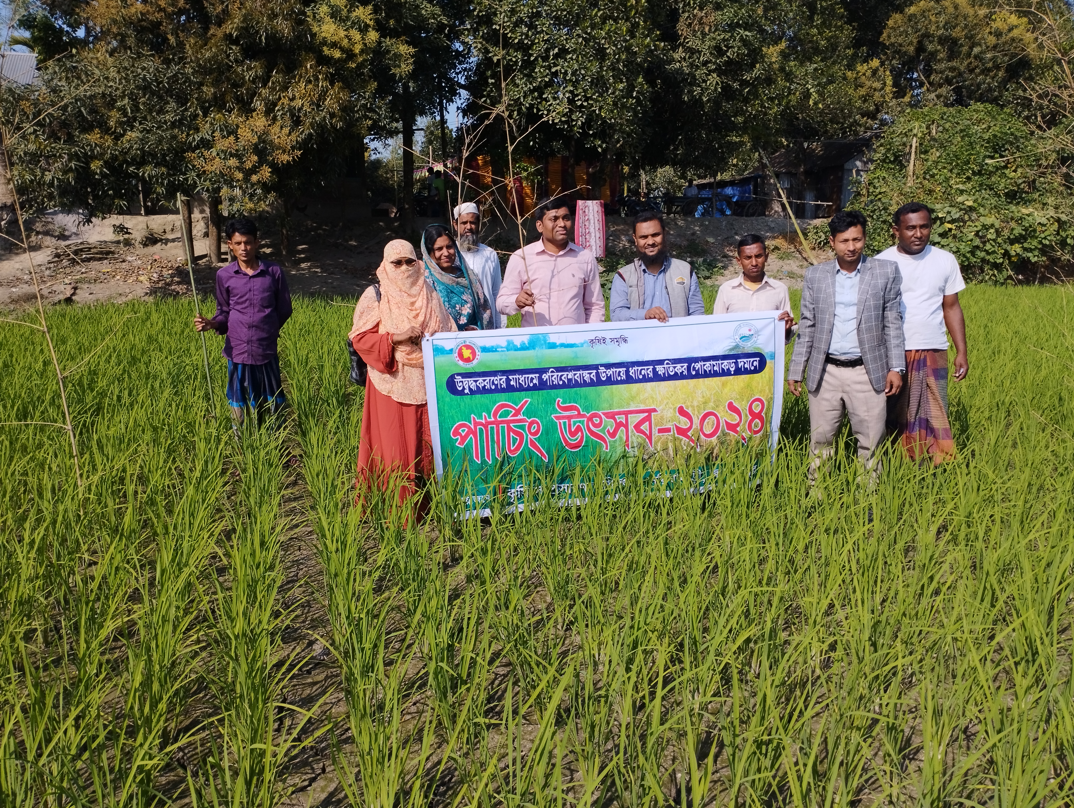 পার্চিং