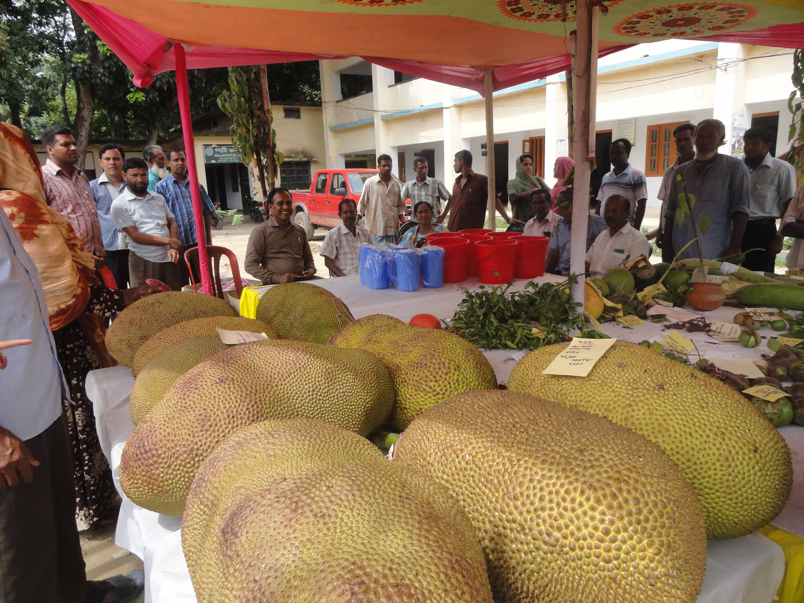 বৃক্ষমেলার প্রদর্শন সামগ্রী