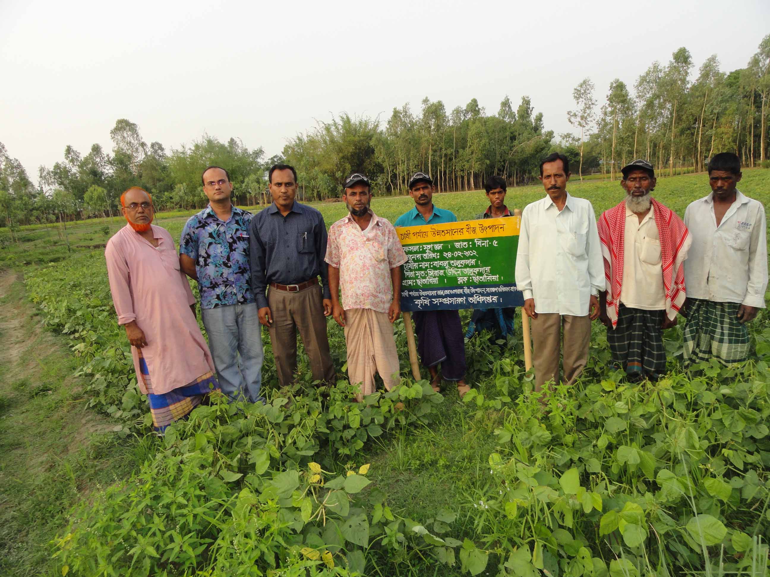 মুগ ডাল প্রদর্শনী