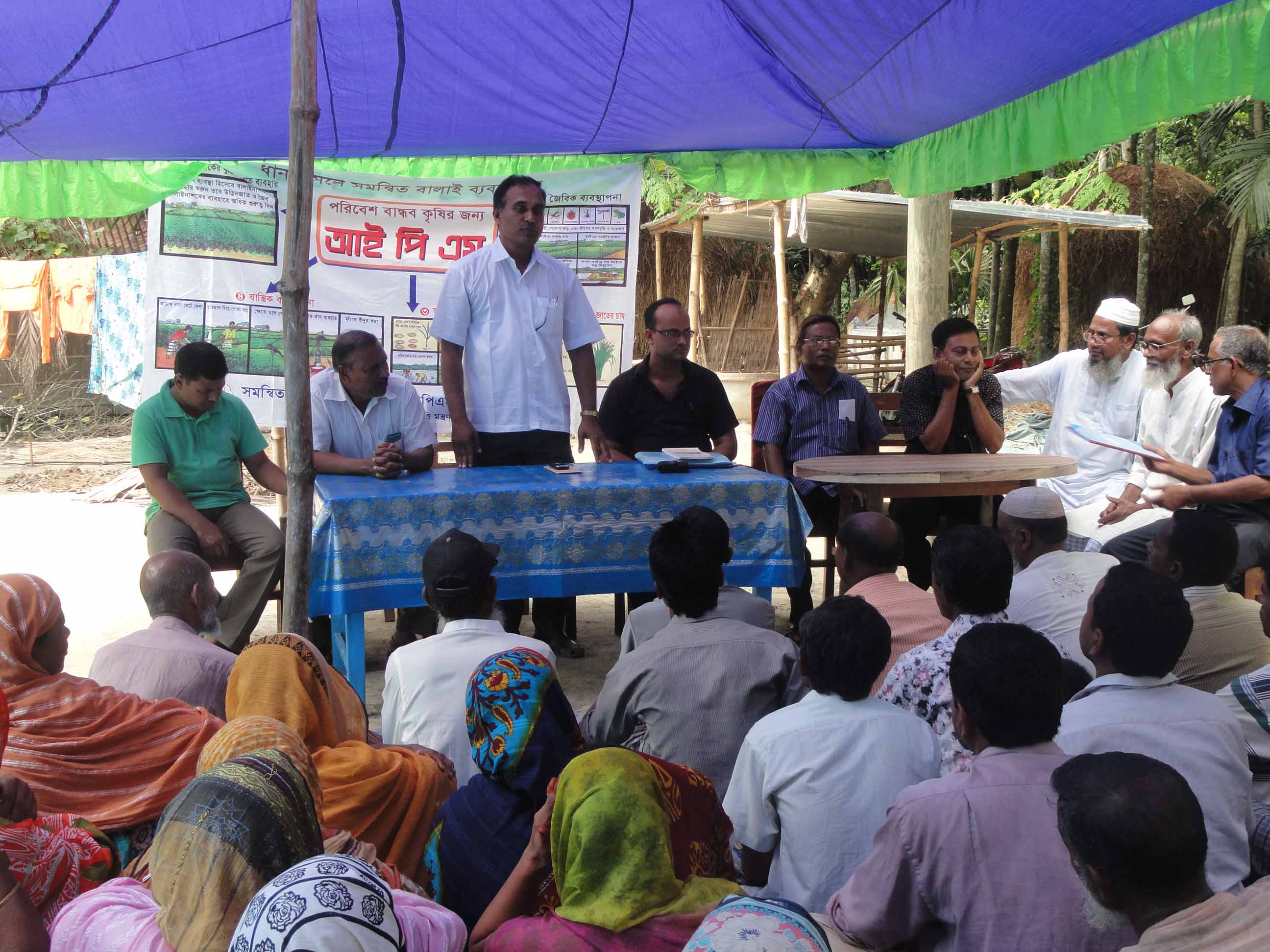 মাঠ দিবস