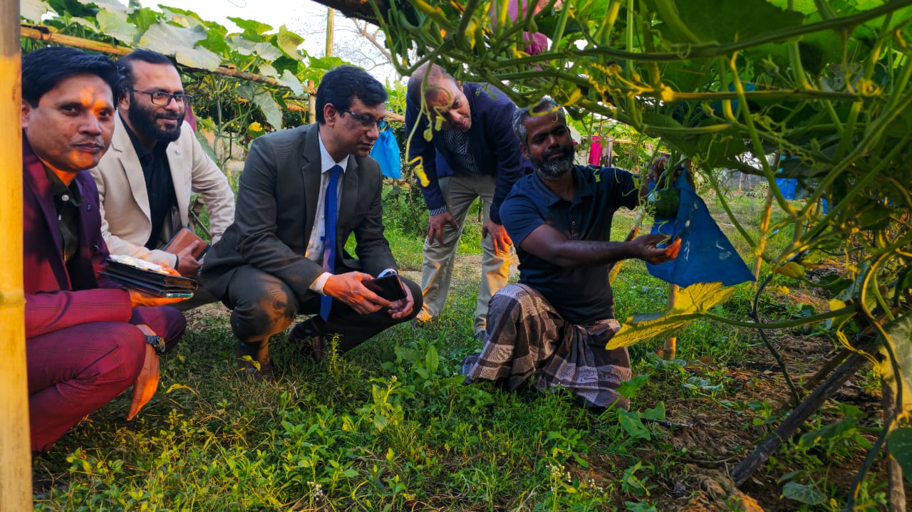 লাউ প্রদশর্নী