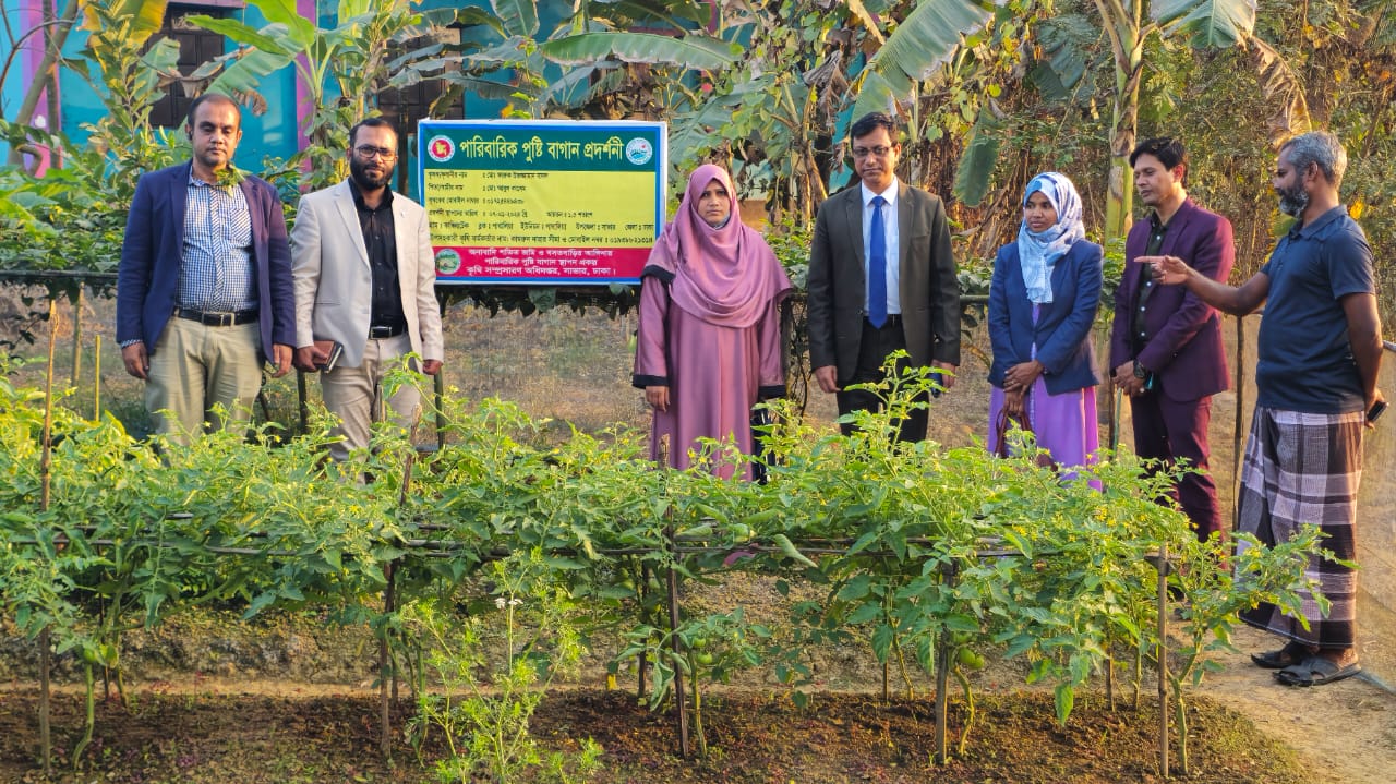 পারিবারিক পুষ্টি বাগান