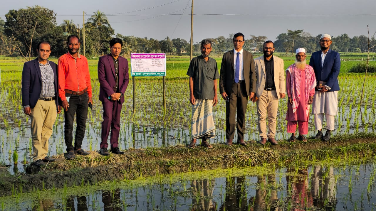 ব্রিধান 108 প্রদর্শনী