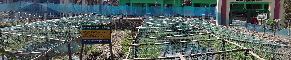 সর্জন পাদ্ধতি