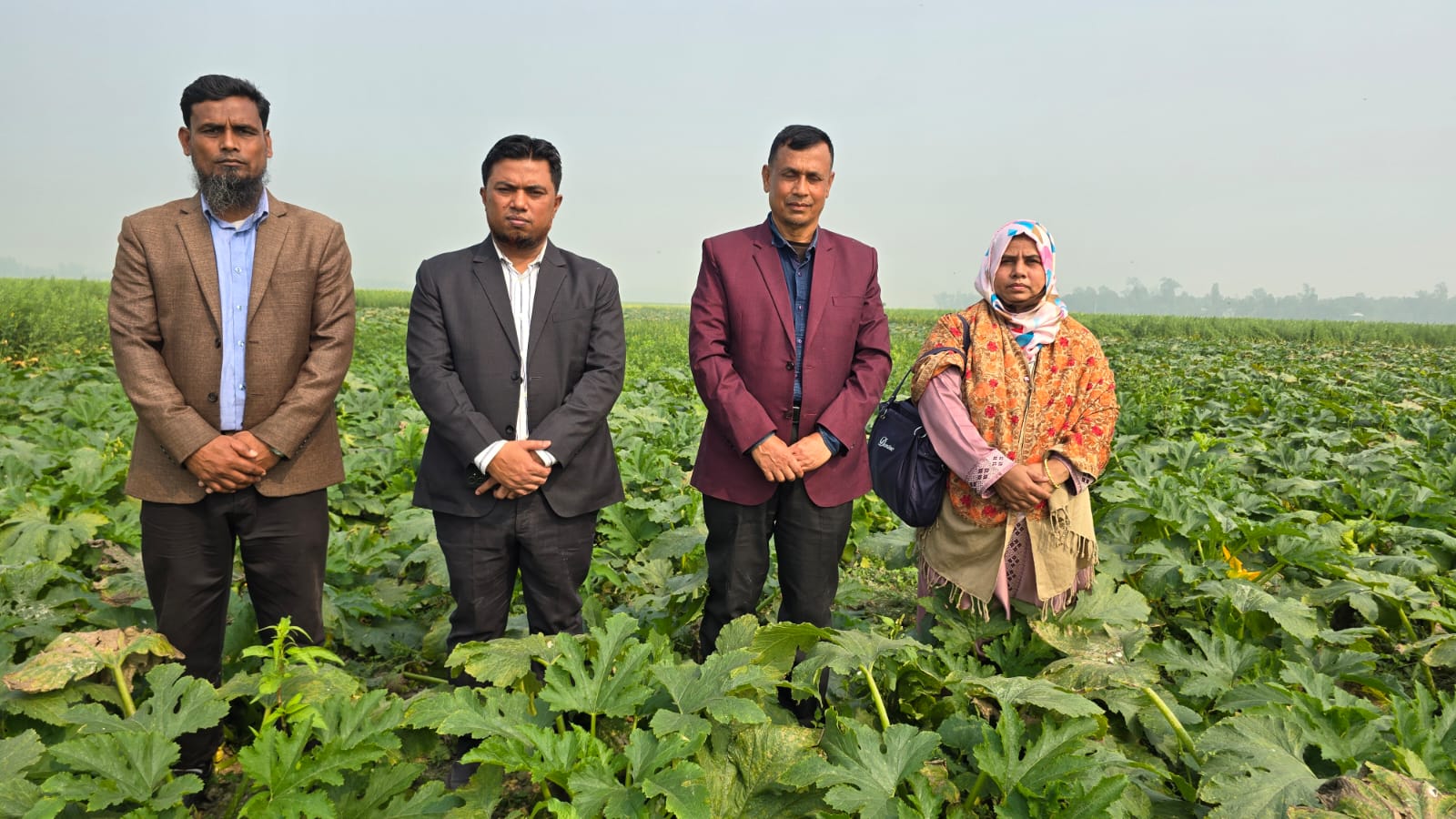 মাঠ কার্যক্রম