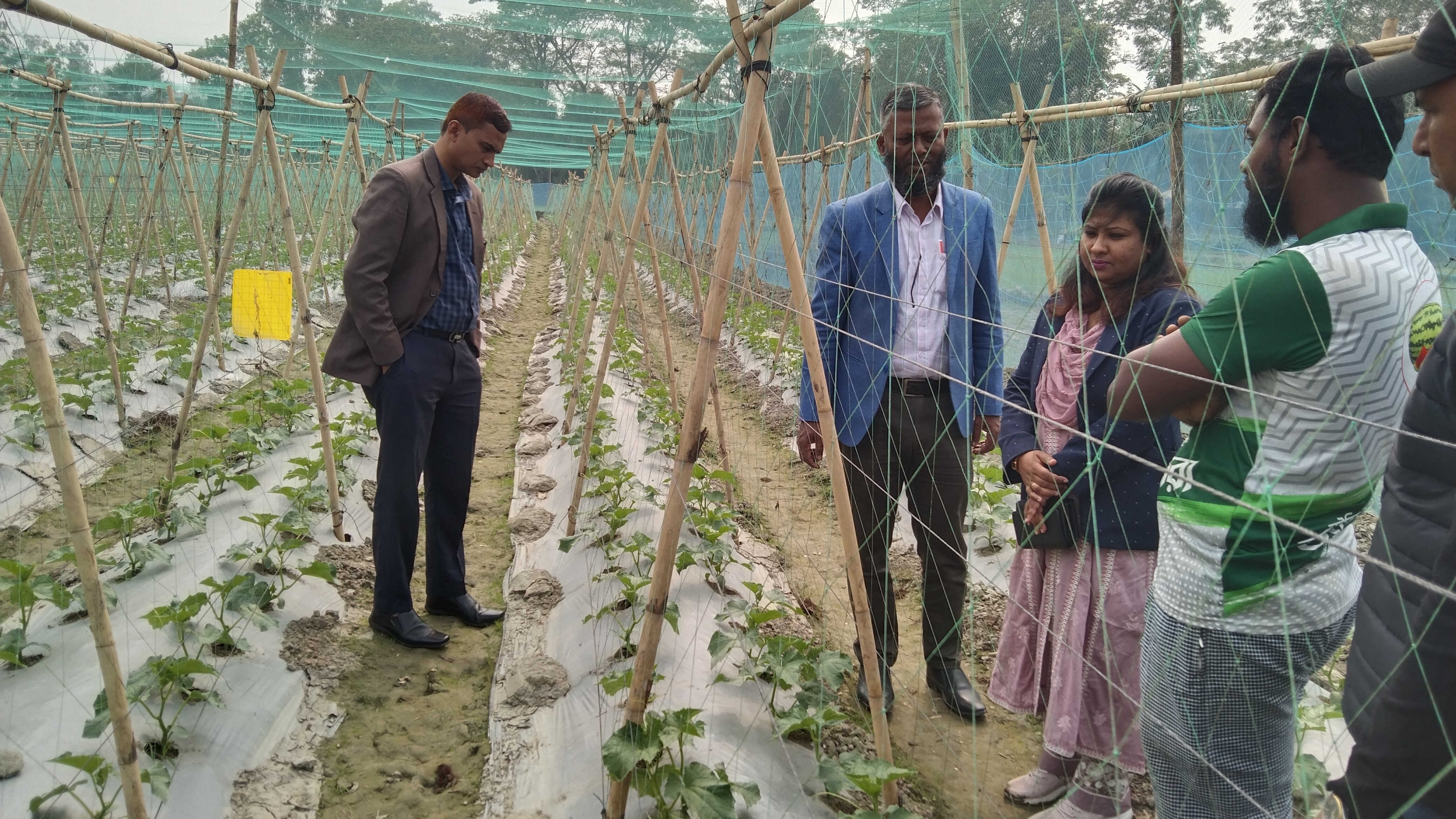 শাহরাস্তি উপজেলার কৃষির বিভিন্ন কার্যক্রম পরিদর্শন করেন,উপপরিচালক,চাঁদপুর