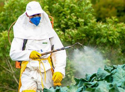 সার সংক্রান্ত