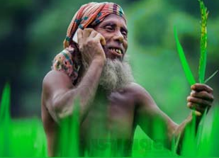 সেবাসমূহ