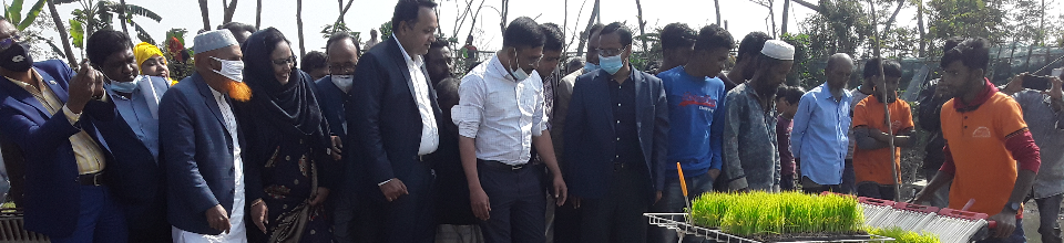 সমলয়ে চাষাবাদ