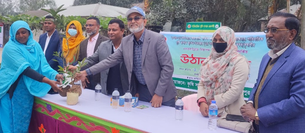 পারিবারিক পুষ্টি বাগানের উঠান বৈঠক