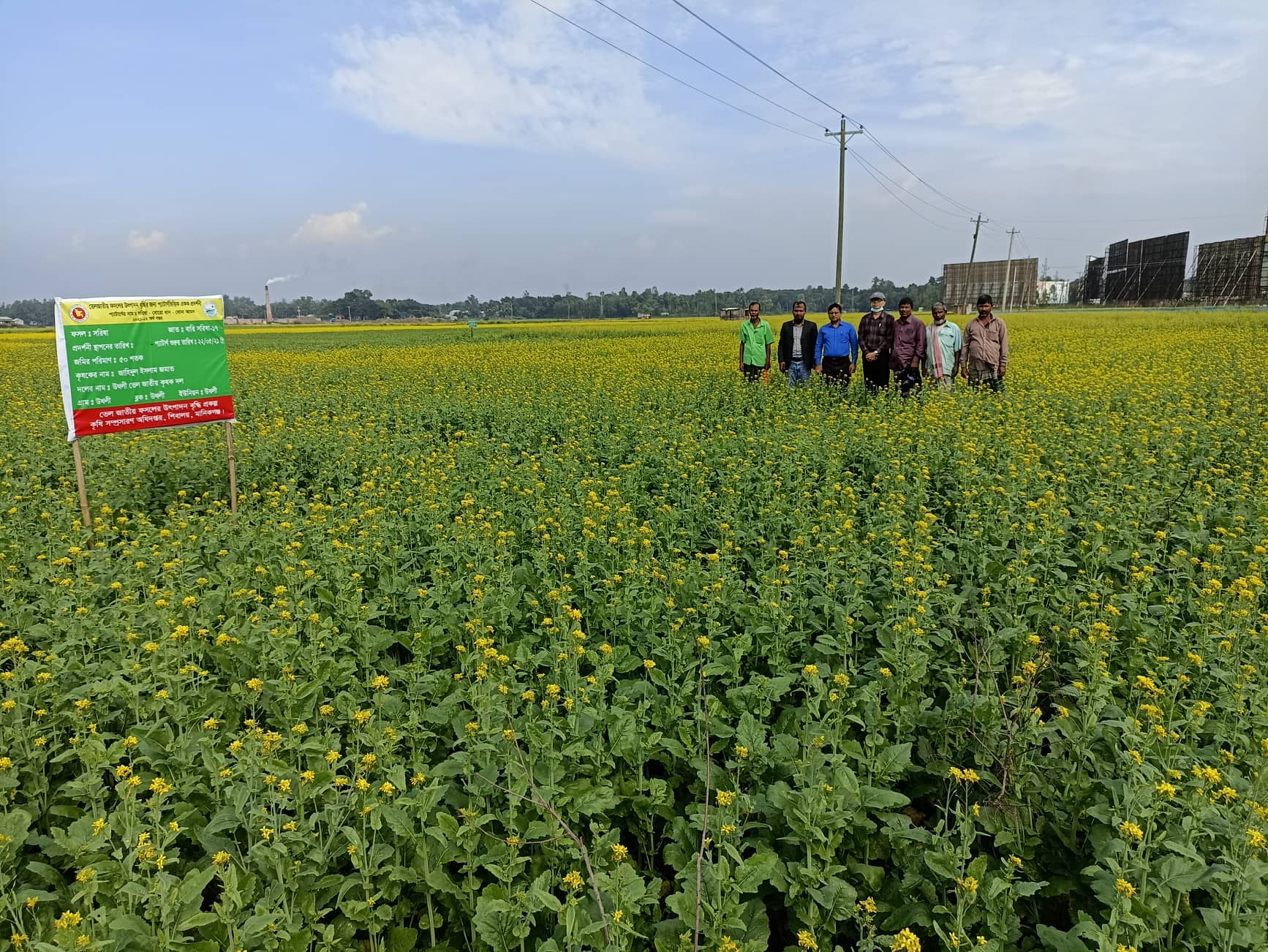 তেল জাতীয় ফসল উৎপাদন বৃদ্ধি প্রকল্পের আওতায় বিভিন্ন কার্যক্রমের স্থির চিত্র