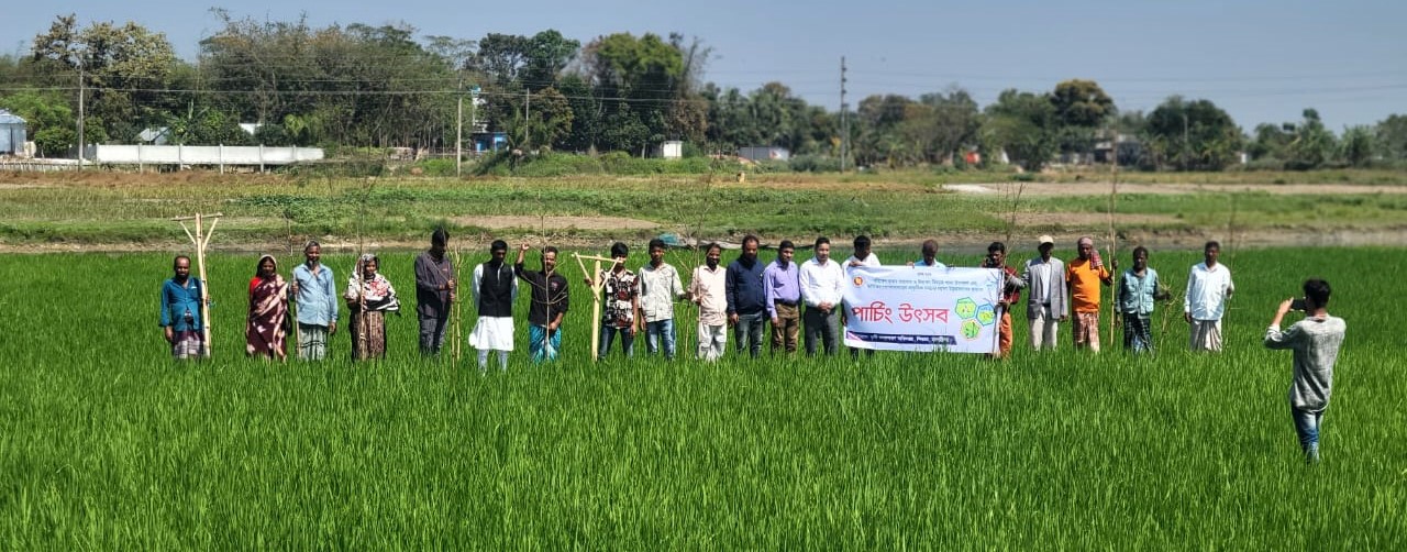 শিবচর উপজেলার পার্চিং উৎসব