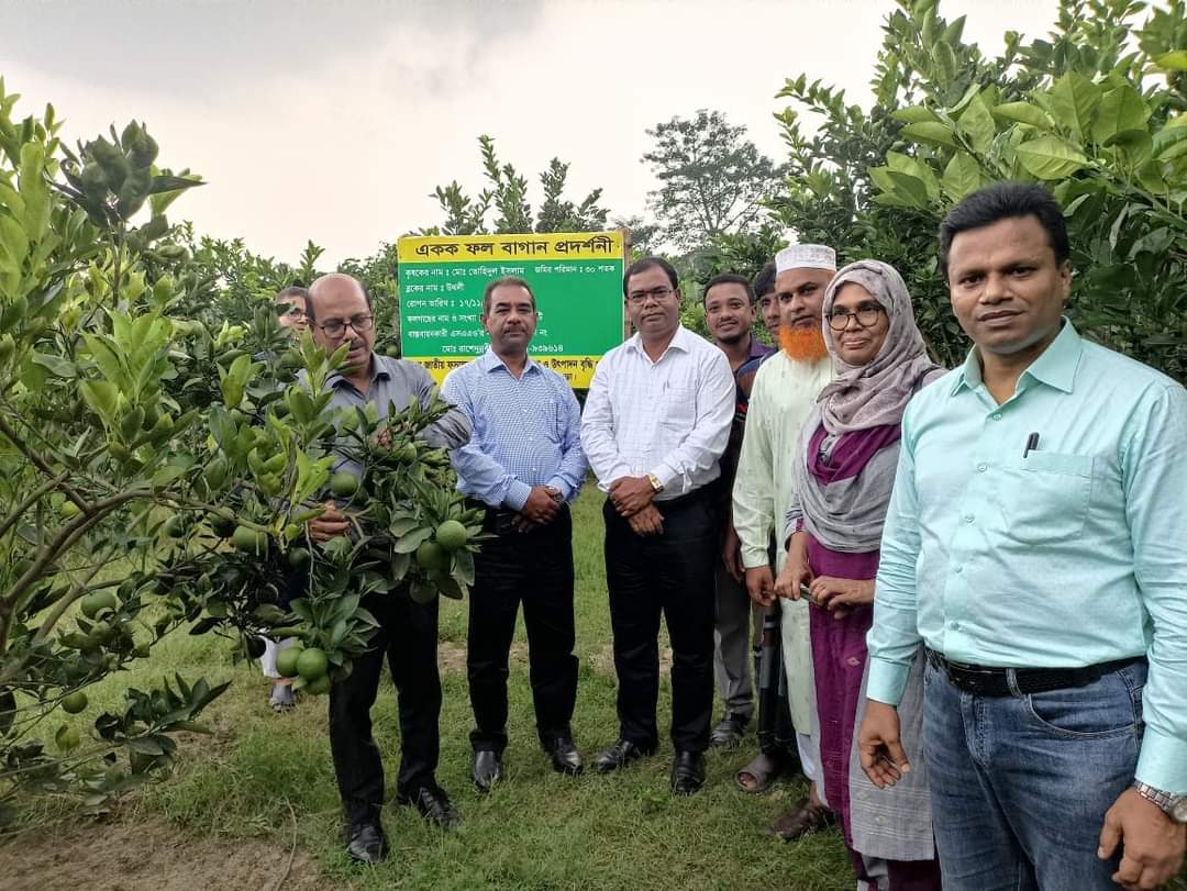 লেবুজাতীয় ফলের সম্প্রসারণ