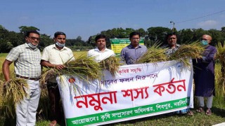 নমুনা শস্য কর্তন