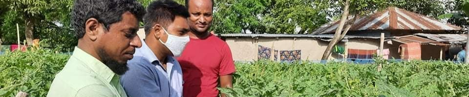 প্রদর্শনী