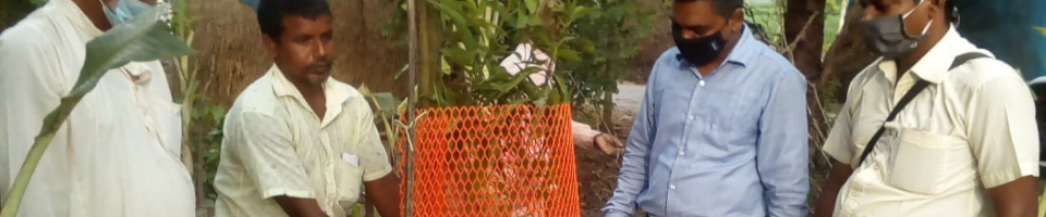 প্রদর্শনী