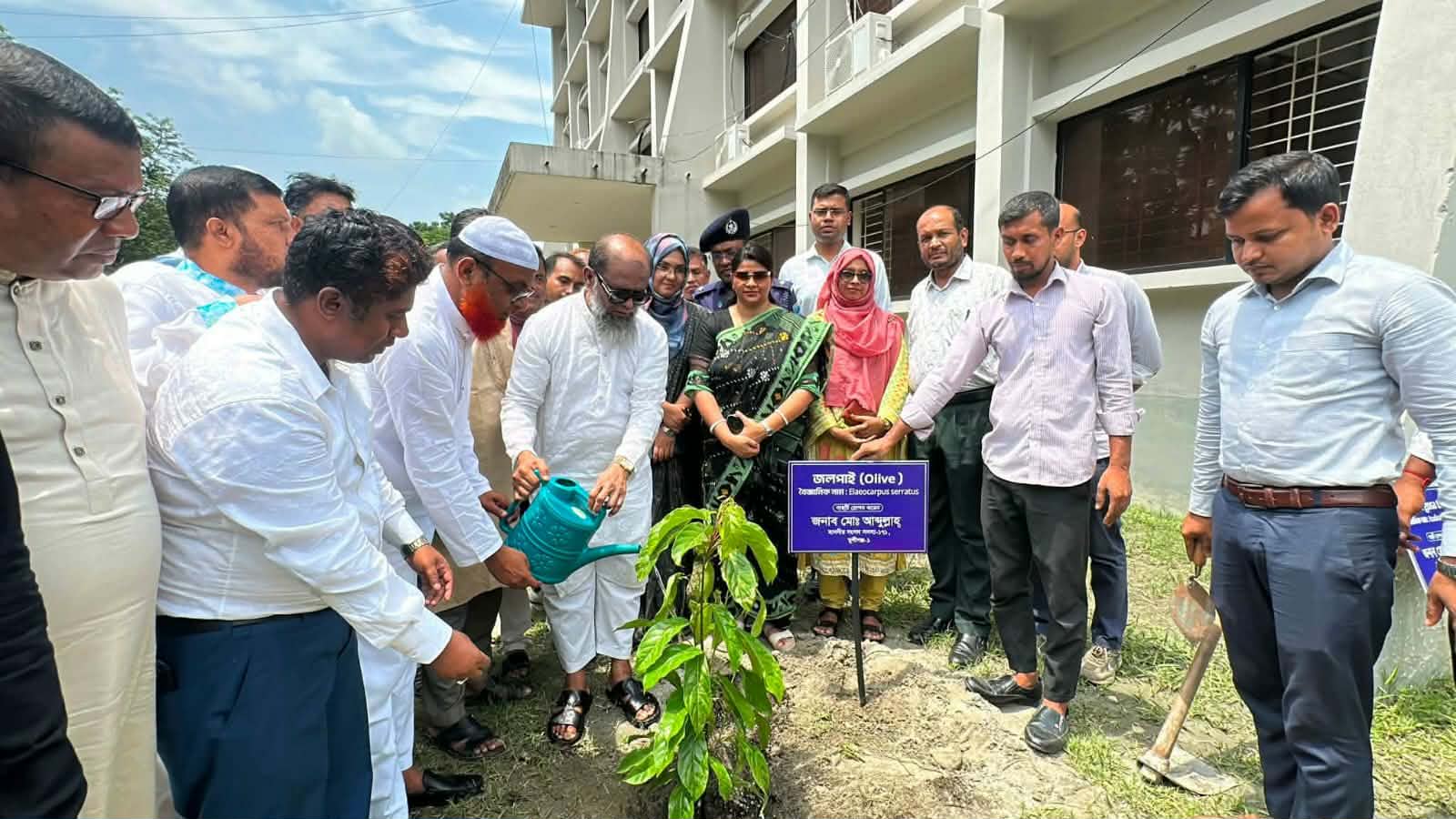 Tree Plantation