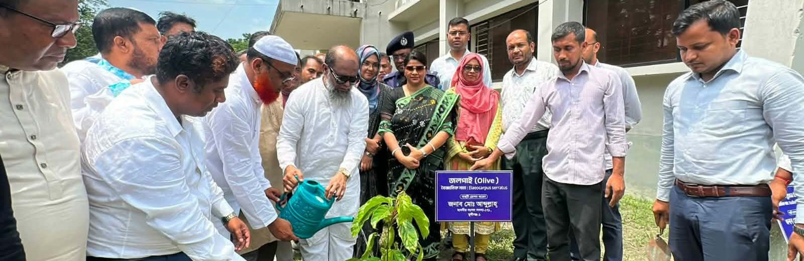 Tree Plantation