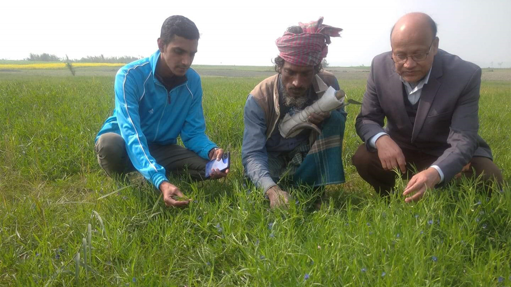 ২০২২-২৩ অর্থবছরে কৃষি প্রণোদনা কর্মসূচির খেসারী ফসলের মাঠ পর্যবেক্ষণ করছেন সংশ্লিস্ট উপসহকারী কৃষি কর্মকর্তাদ্বয় (ছবিতে মাঝে কৃষক)