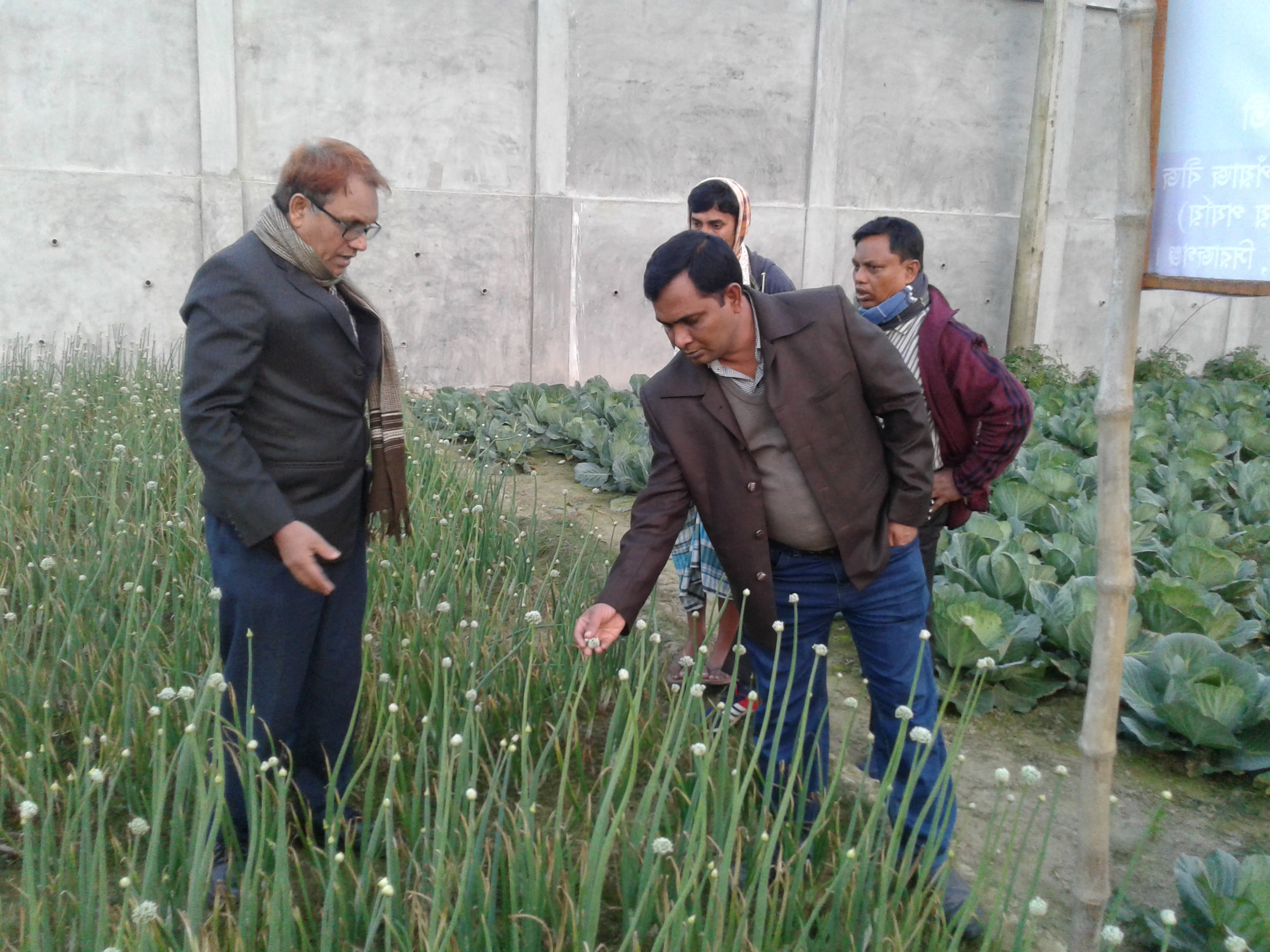 ই-সেবা কেন্দ্র, জেলা প্রশাসন