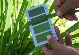 কৃষি প্রযুক্তি