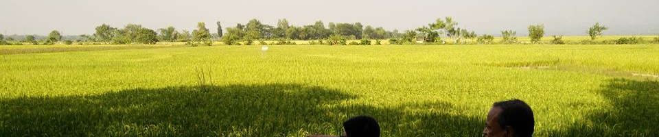 ব্যানার