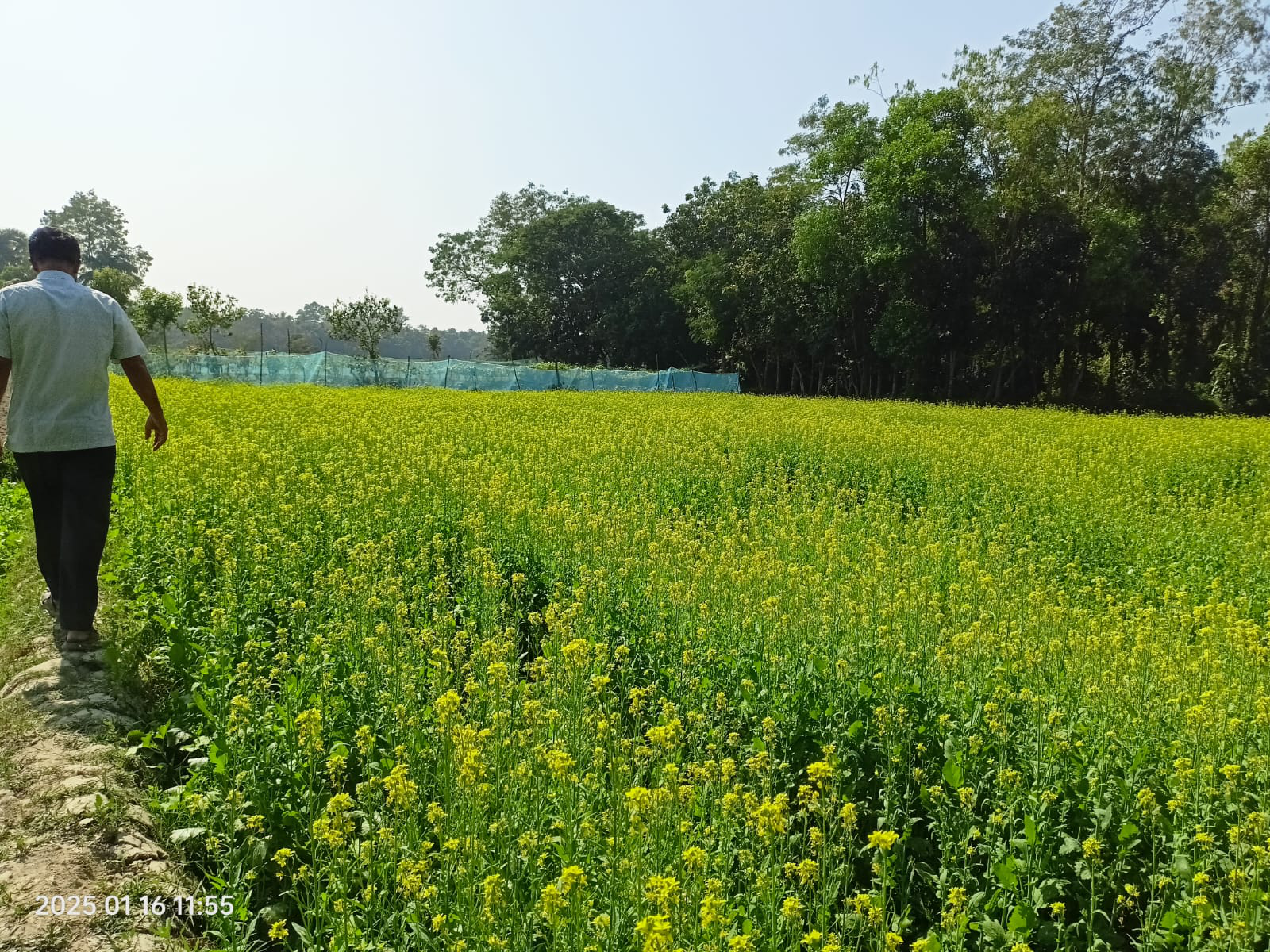প্রযুক্তি সম্প্রসারণ