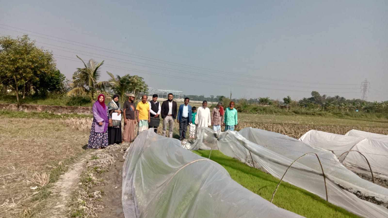 সমলয় চাষাবাদ