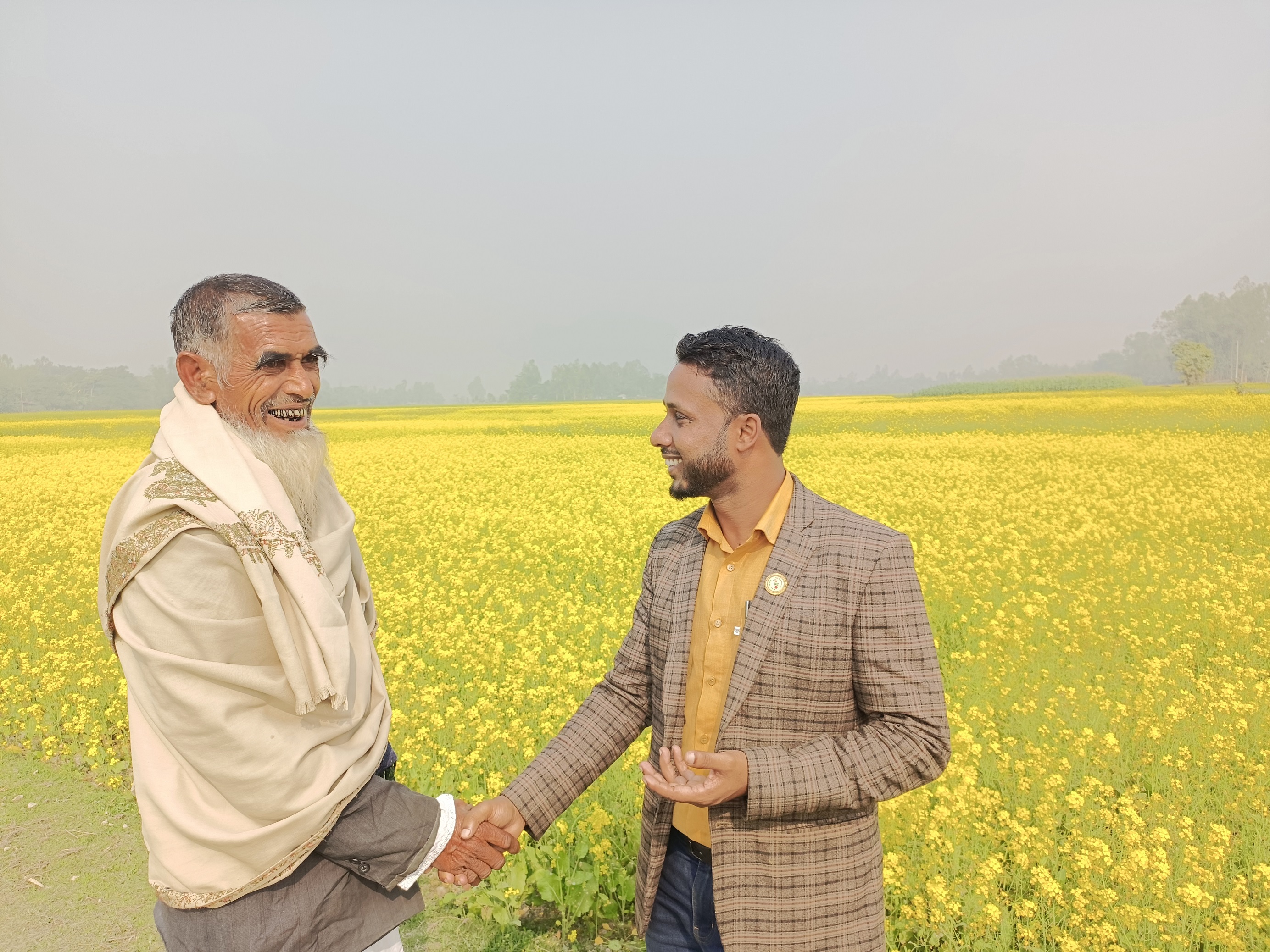 সরিষা প্রনোদনা