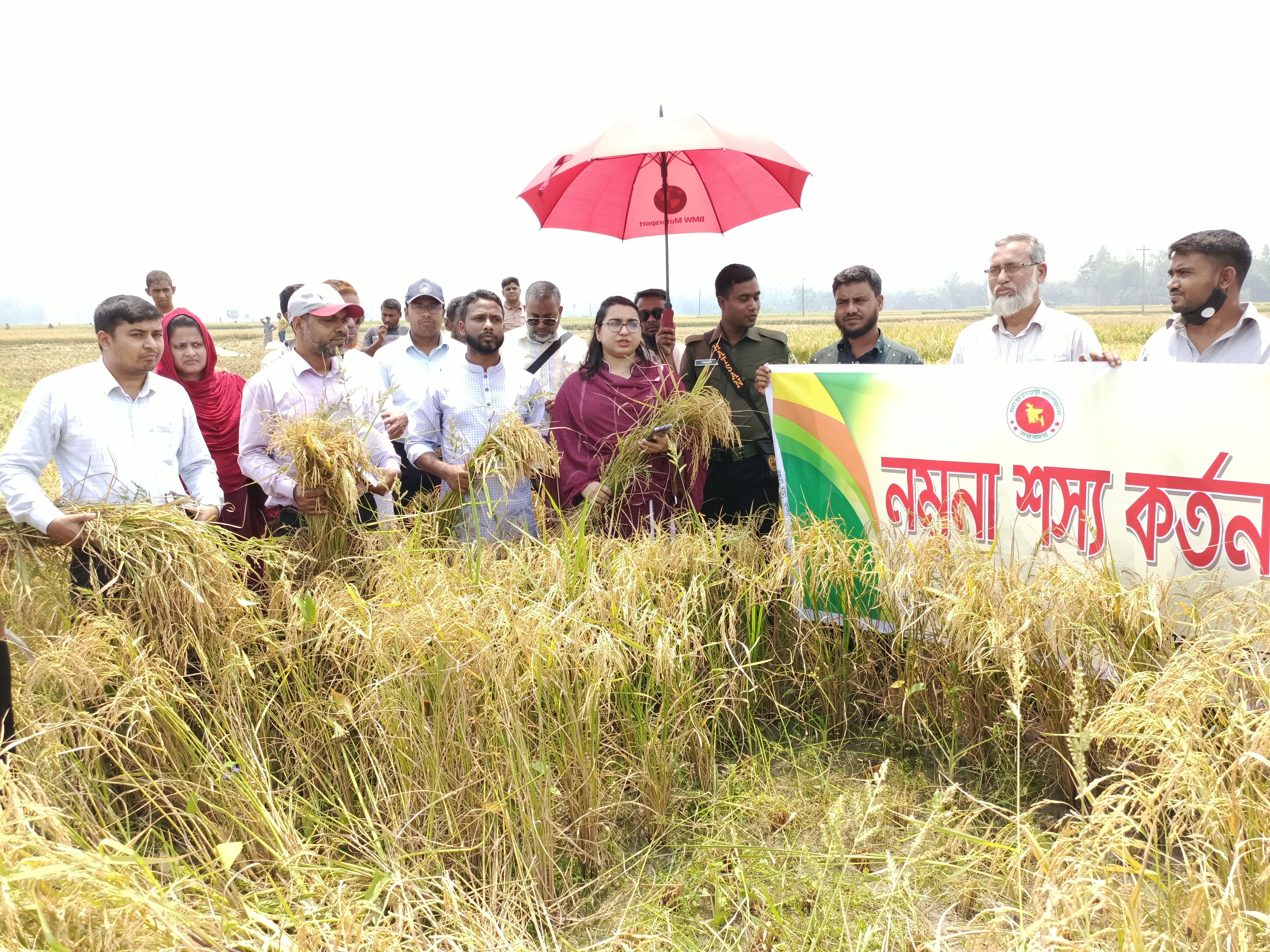 নমুনা শস্য কর্তন