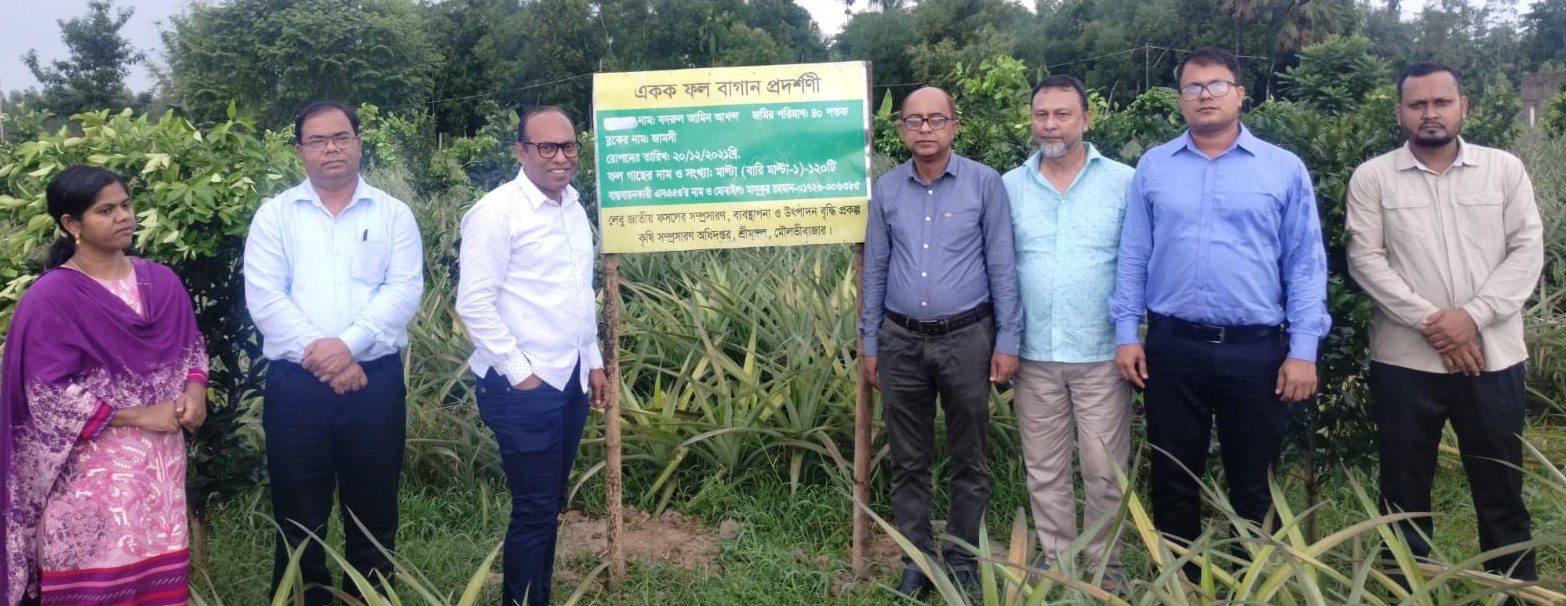 অতিরিক্ত সচিব ও প্রকল্প পরিচালক মহোদয়ের লেবু জাতীয় ফসলের আবাদ ও ব্যবস্থাপনা প্রকল্পের ফল বাগান প্রদর্শনী কার্যক্রম মনিটরিং